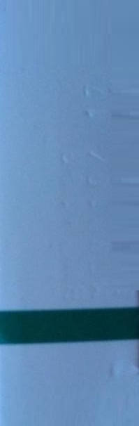 Farcotilium Gélules